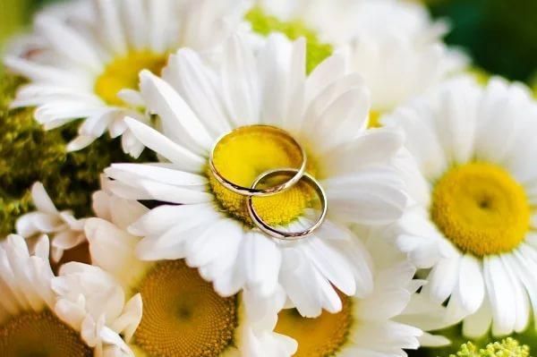 Привітання з річницею 9 років